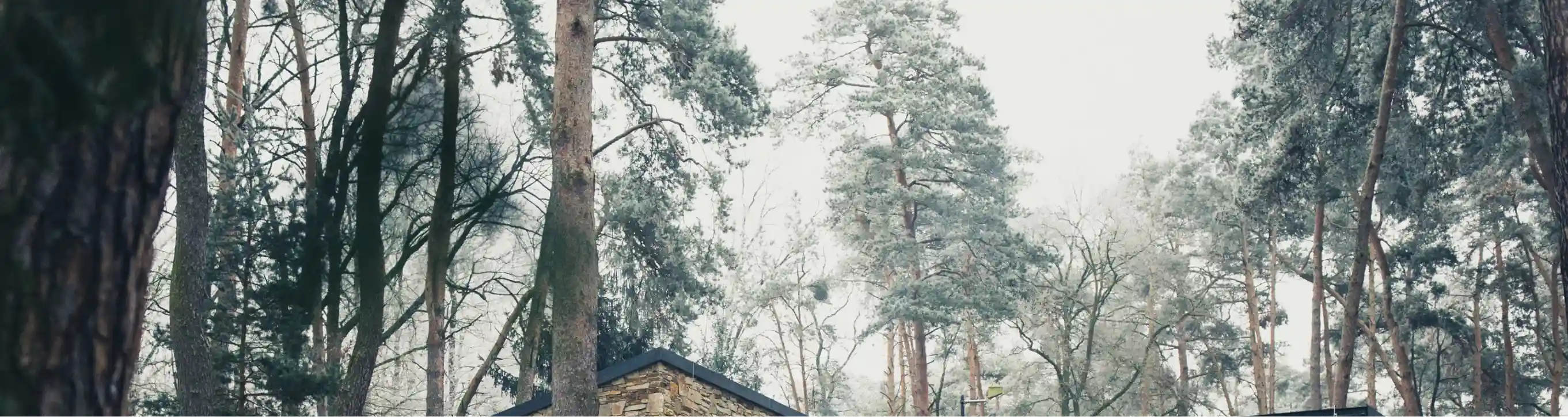 фон для footer АСК Архос